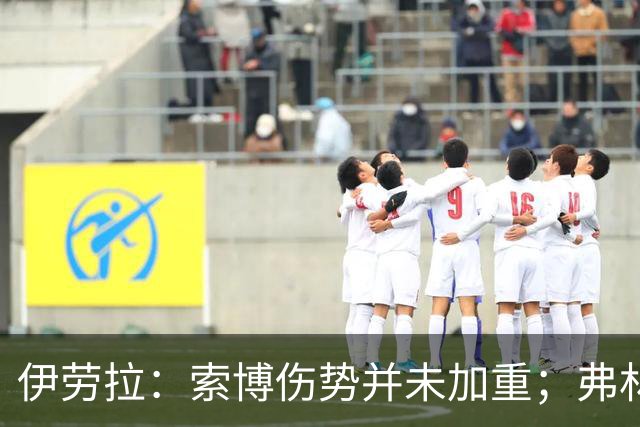 伊劳拉：索博伤势并未加重；弗林蓬国际比赛日之前恐难复出