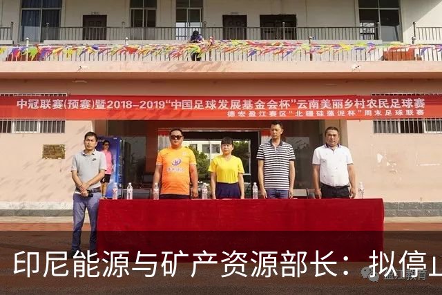 印尼能源与矿产资源部长：拟停止向不尊重印尼的国家供能