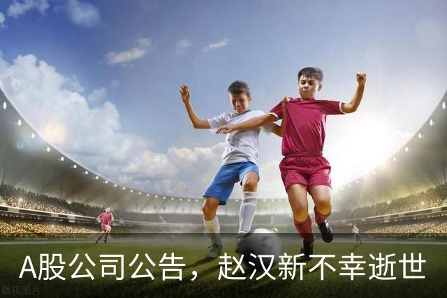A股公司公告，赵汉新不幸逝世